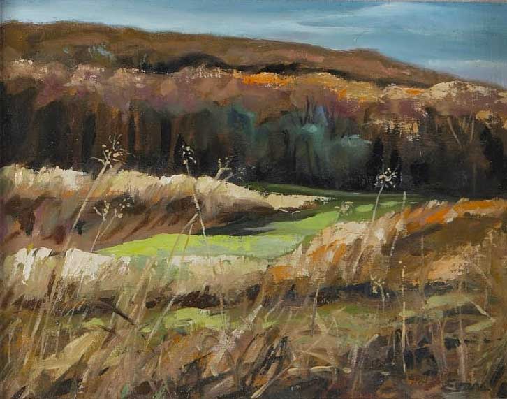 Open Fields, McDade Trail, oil, 18" x 16," framed, $775 by Gwendolyn Evans