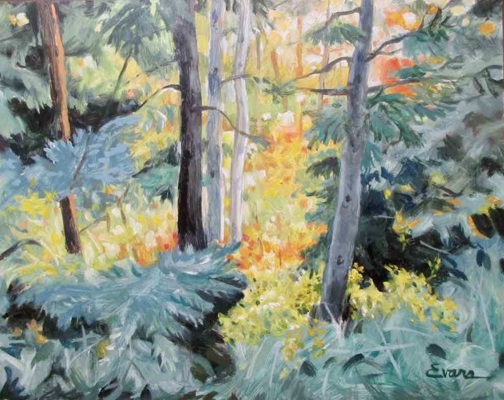 Light in the Forest by Gwendolyn Evans