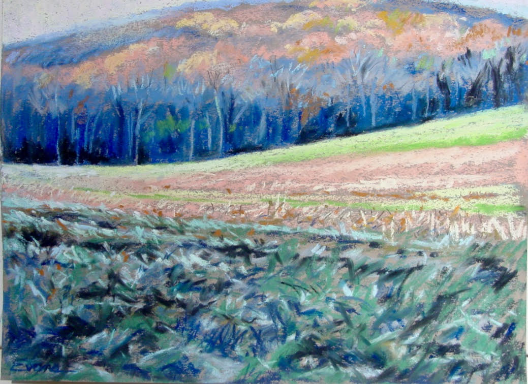 McDade Trail, pastel, approx. 30" x 20", framed, sold, by Gwendolyn Evans